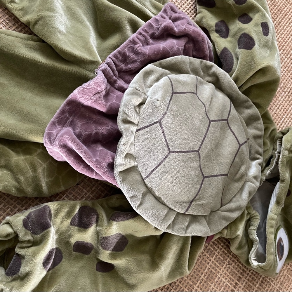 Disney Finding Nemo Squirt Costume